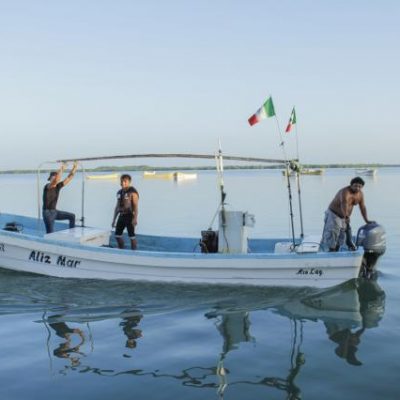 Pescadores regresan a la captura de mero ante el desánimo por el pulpo