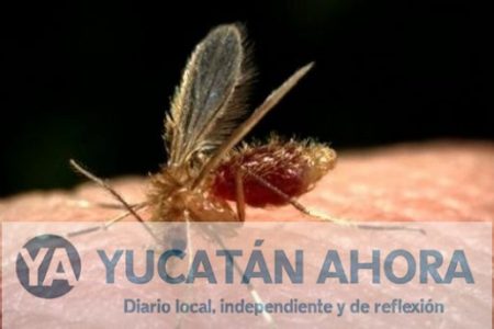 En marcha operativo para buscar a yucatecos con enfermedad olvidada