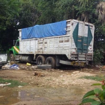 “Ecoloco” hace sufrir a sus vecinos: acumula excremento de pollos y gallinas