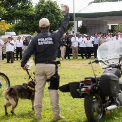 Estados Unidos envía a Yucatán oficiales caninos con zapatos y chalecos antibalas