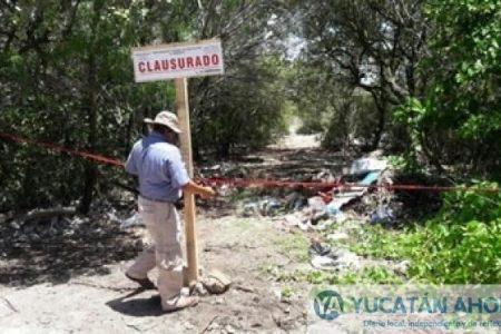 Multan a asentamiento irregular en Chicxulub por devastar manglar en extinción