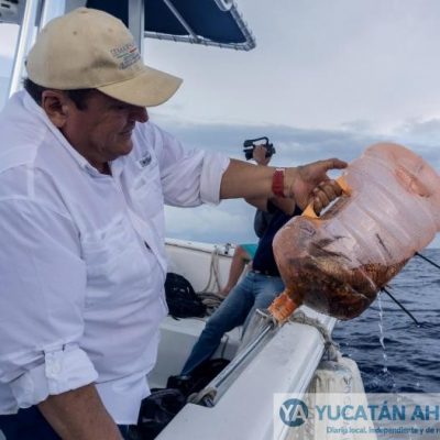 Promoverán la pesca del “asesino” de los mares de Yucatán