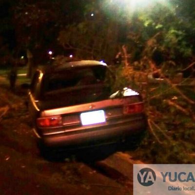 Choferes derriban árboles en descontrolados automóviles