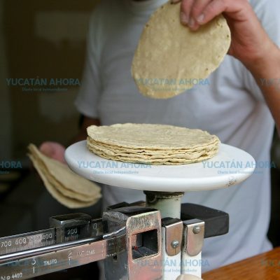No hay motivo para subir el precio de la tortilla en Yucatán
