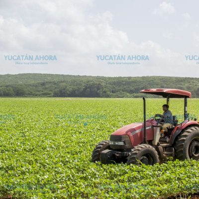 Yucatán ha tenido un buen año en la agricultura