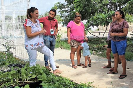 Rinde frutos programa productivo en colonias y comisarías de Mérida