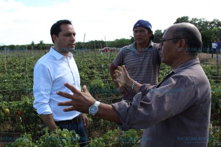 Es momento de solucionar los problemas que siempre ha sufrido Yucatán: Vila