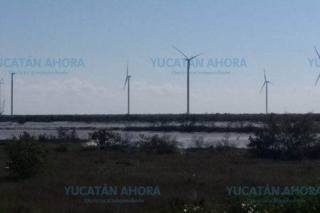 En la ilegalidad los 20 proyectos de energía renovable en Yucatán