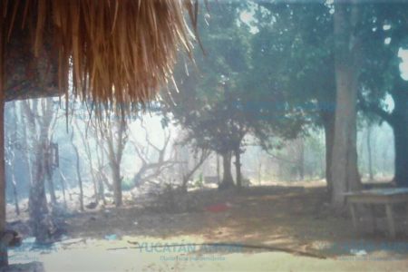 Incendio pone en peligro casas en el sur de Yucatán