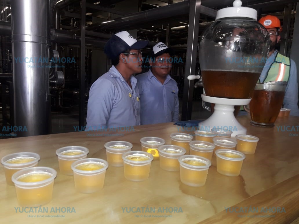 Con varios logros, cumple un año la Cervecería Yucateca – Yucatan Ahora
