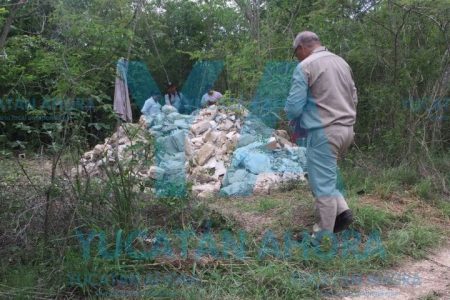 Detectan toma clandestina en ducto de Pemex Yucatán