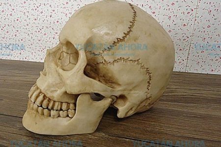 Cráneo hallado en Las Américas perteneció a estudiante de medicina