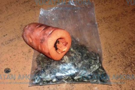 Detenido en comunidad yucateca por fumar marihuana en una zanahoria