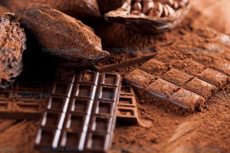 National Geographic encuentra en Yucatán uno de los 5 chocolates más finos del mundo