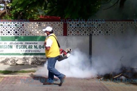 México, el primer país de Latinoamérica en controlar el dengue