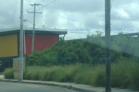 Terreno baldío ocasiona molestias frente al Complejo Deportivo Kukulcán