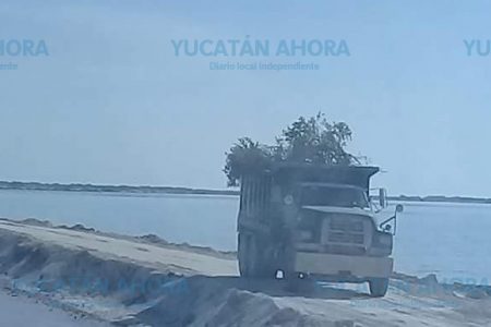 Acusan a la salinera de destruir manglares en Río Lagartos para extender sus charcas