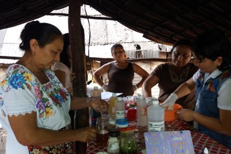 Las mujeres de la miel maya