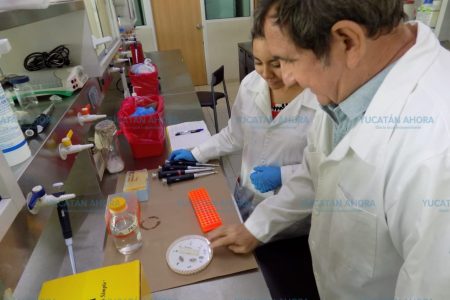 Humanos son la prioridad en la vacuna contra el mal de Chagas