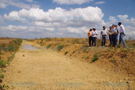 Rehabilitan drenes para evitar inundaciones en el sur de Yucatán