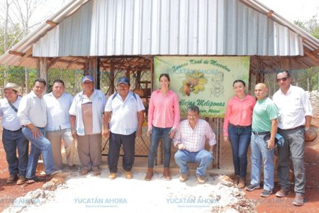 Inauguran meliponario en el ejido ambientalmente más rico de Yucatán