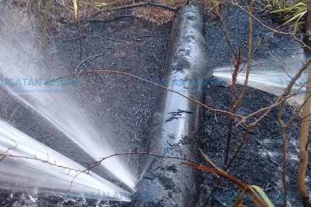 Sabotaje en tuberías del agua potable en Celestún