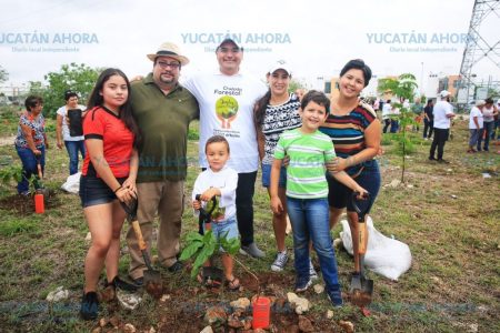 Inicia la siembra masiva de árboles en Mérida