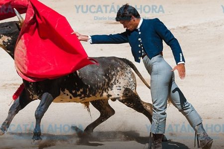Prohíben corridas de toros y peleas de gallos en Quintana Roo