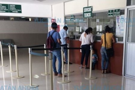 Ya se registraron ante el IMSS 89 empleadas domésticas de Yucatán