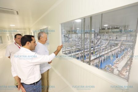 El gobernador Mauricio Vila recorre la planta procesadora ‘Sahé’