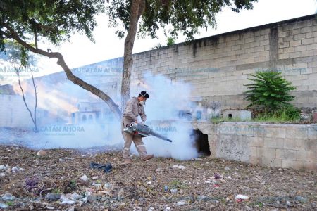 Ocupa Yucatán lugar 15 a nivel nacional en casos de dengue