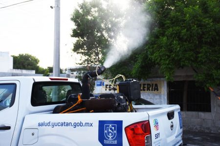 Esperan que el frente frío 12 ‘mate’ al dengue en Yucatán