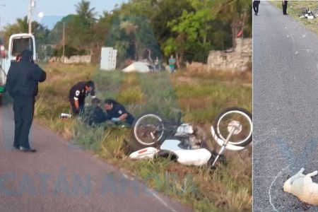 Hace derrapar a un motociclista, pero pierde sus ‘siete vidas’ de un jalón