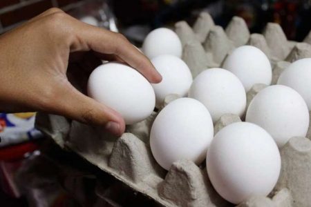 Avicultores garantizan el abasto de huevo, pollo y pavo en crisis de Covid-19