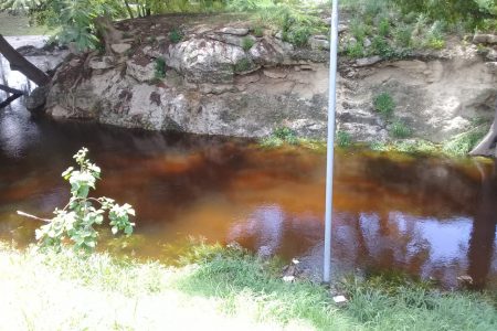 Miles de litros de agua inundan el Parque Ecológico del Poniente