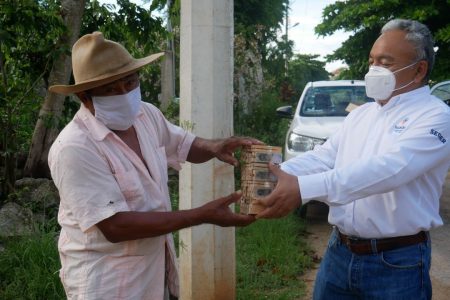 Entregan 500 abejas reinas a los apicultores yucatecos