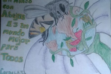Con coloridos trazos, niños de 8 municipios de Yucatán invitan a cuidar las abejas mayas