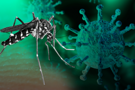 Inminente la coepidemia Covid-19 y dengue en la Península de Yucatán