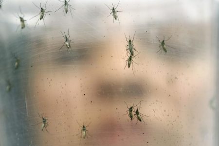 Volvió recargado el dengue: 10 fallecidos en los últimos días