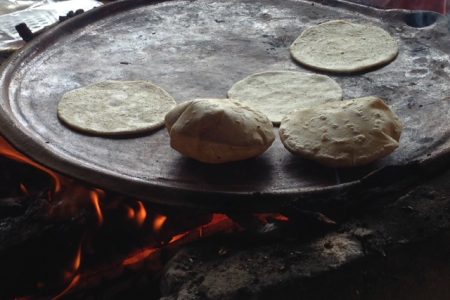 Realizan webinar para aprender a preparar tortillas de maíz a mano