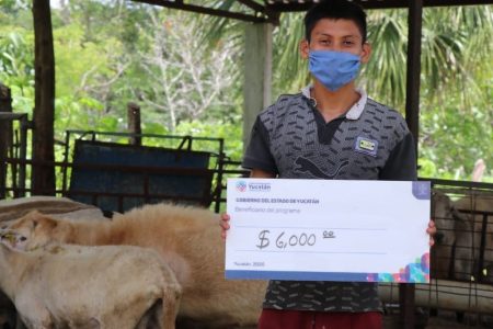 Ganaderos yucatecos reciben apoyos por 2.5 millones de pesos