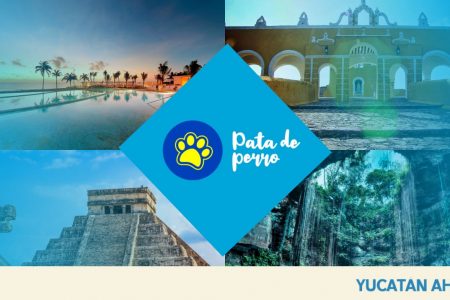Los ‘pata de perro’, listos para pasear y reactivar la economía de Yucatán