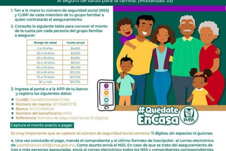 Puedes pagar en línea tu aseguramiento voluntario al IMSS en Yucatán