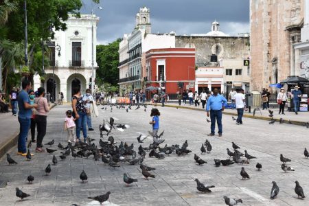 Covid-19 en Yucatán: dos fallecidos y 78 contagios
