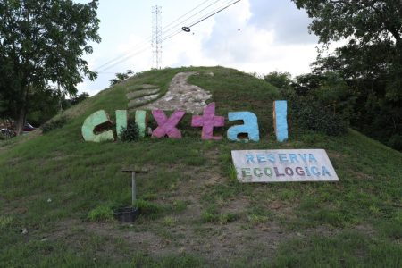 Tren Maya coadyuvará en la conservación de la Reserva Ecológica Cuxtal, afirma especialista