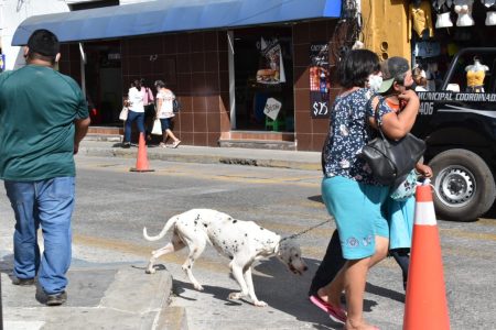 Enero, el cuarto mes con más contagios y defunciones por Covid-19 en Yucatán