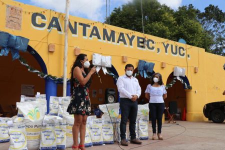 Inicia entrega de semillas de frijol a pequeños productores de Yucatán