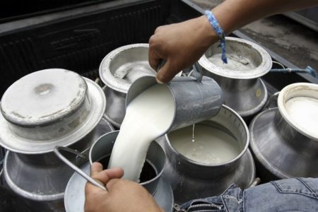 Detectan microplásticos en 23 marcas de leche, en México