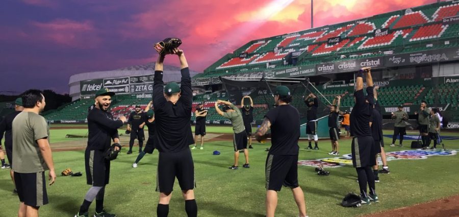 Los Leones de Yucatán iniciarán su pretemporada el 9 de abril – Yucatan  Ahora