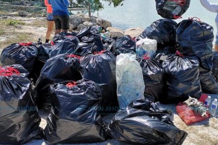 Exceso de plástico en playas de Yucatán contamina peces y mariscos comestibles